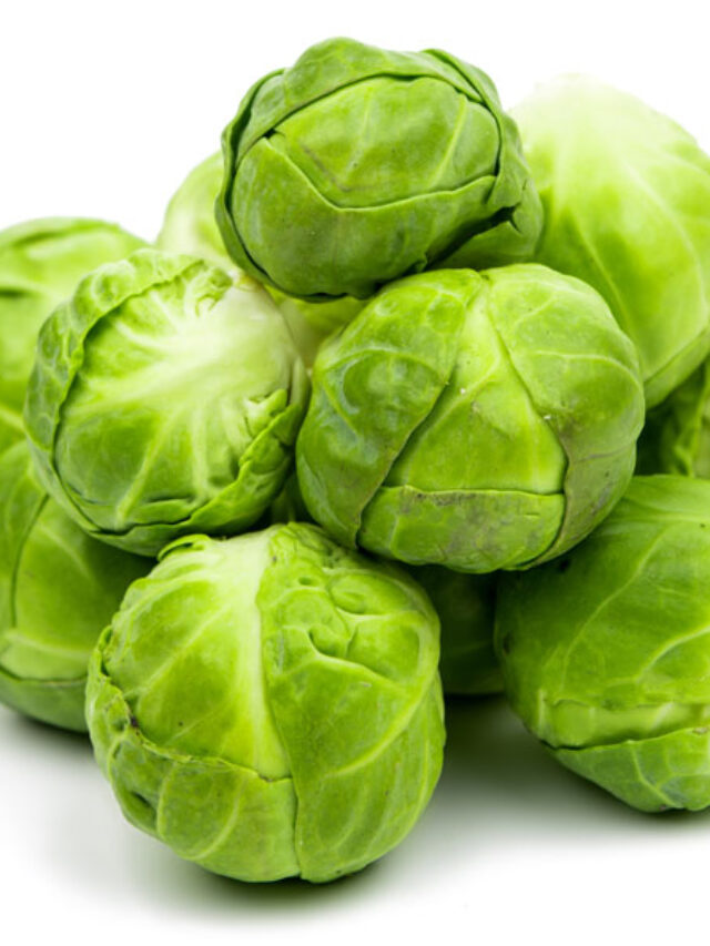 सेहत का खज़ाना है ब्रसेल्स स्प्राउट्स (Brussels Sprouts), फायदे जानकर आप भी रह जायेंगे हैरान|